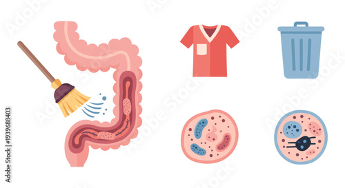 Set of 6 Medical and Health-Related Flat Vector Icons Featuring Colon Cleansing, Doctor Scrubs, Trash Can, and Cell Structures