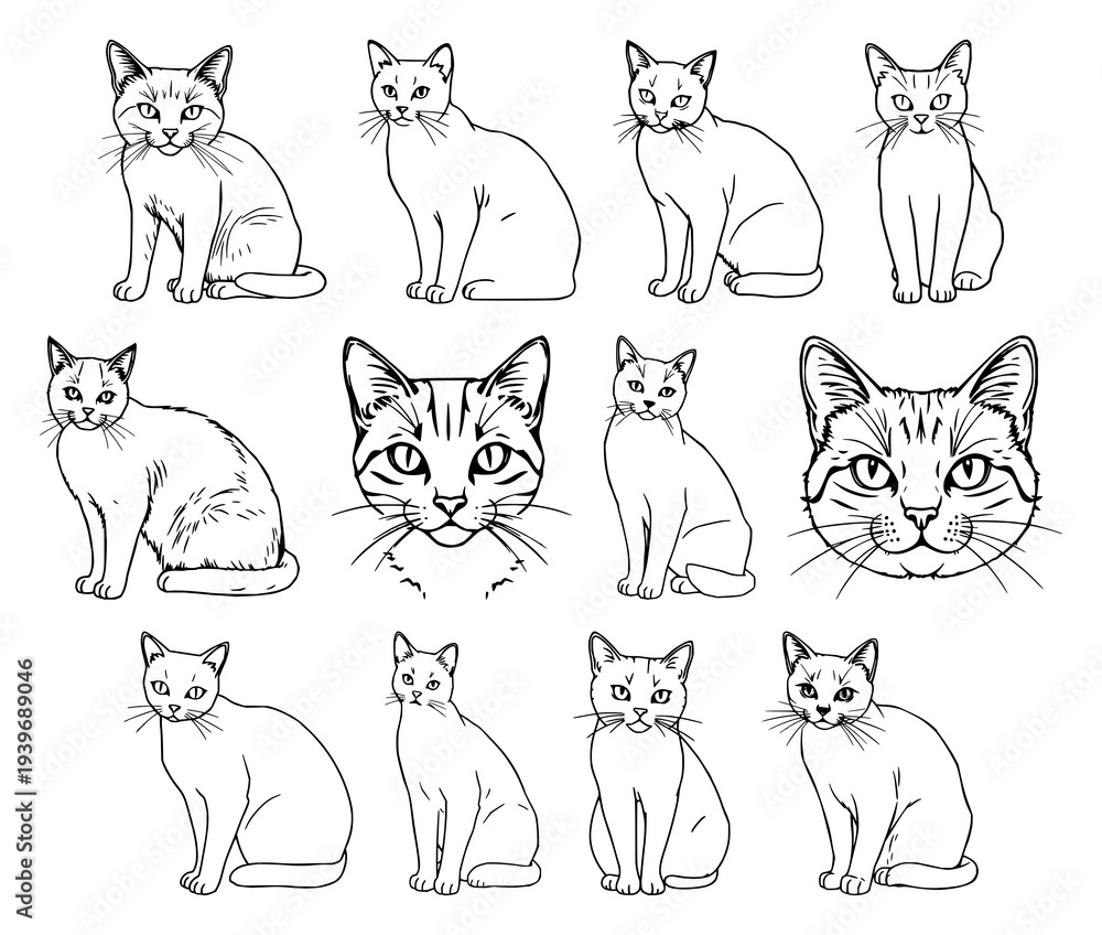 Fototapeta premium Delicate hand-drawn cat line art illustration showcasing elegant feline silhouette with whiskers and tail, perfect for creative projects
