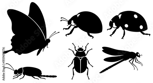 Insect Silhouettes Collection: Butterfly, Ladybug, Beetle, and Dragonfly Set