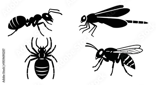 Insect silhouettes set: ant, dragonfly, spider, and wasp icons on white background