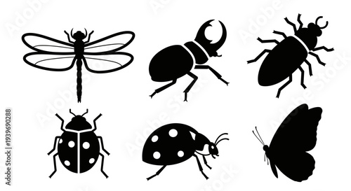 Insect silhouettes collection, various bug icons, nature entomology vector set