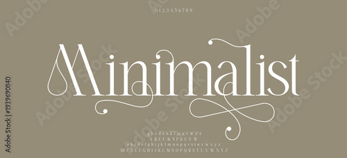 Minimalist Luxury alphabet letters font. Typography elegant wedding classic lettering serif fonts decorative vintage retro concept. vector illustration