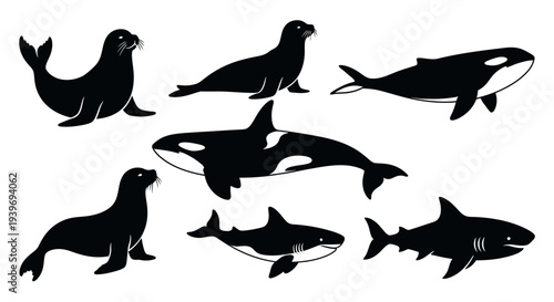 Marine animal silhouettes set: seals, orcas, and sharks swimming in ocean wildlife collection