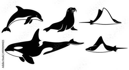 Marine Animals Silhouette Collection: Dolphin, Orca, Manta Ray, and Sea Lion