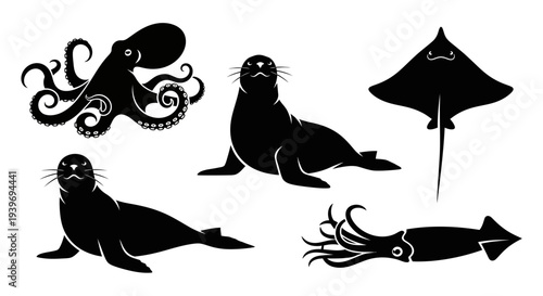 Marine Animals Silhouette Collection: Octopus, Seals, Ray, and Squid Vector Set