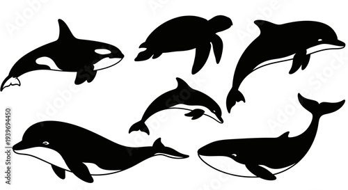 Marine Animals Silhouette Collection: Orca, Dolphin, Whale, and Turtle Vector Set