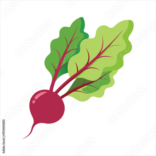 Fresh Beet Greens Leaf Line Art Vector Design