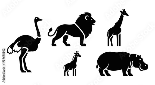 Safari Animals Silhouettes Collection: Ostrich, Lion, Giraffe, and Hippopotamus Icons