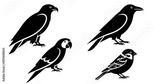 Set of Diverse Bird Silhouettes: Eagle, Crow, Parrot, and Sparrow Vector Icons