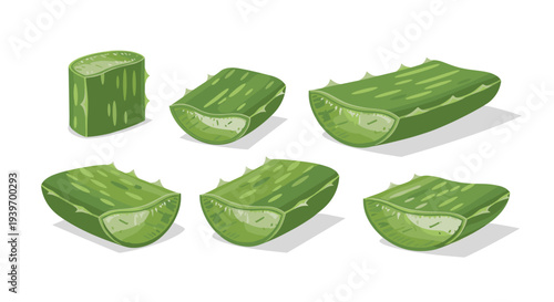Six green aloe vera leaf segments are meticulously arranged on a clean white background, revealing their inner translucent gel.