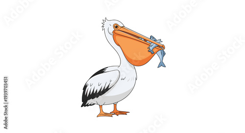Detailed illustration of a pelican bird standing with its large orange beak full of small silver fish on a white background area.
