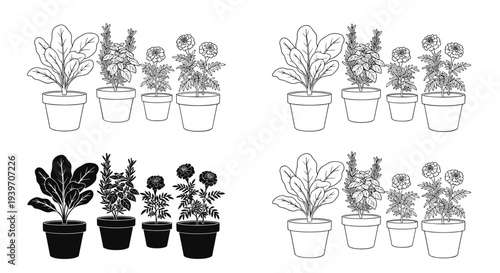 Collection of potted plants including spinach, basil, and marigolds in line art and silhouette
