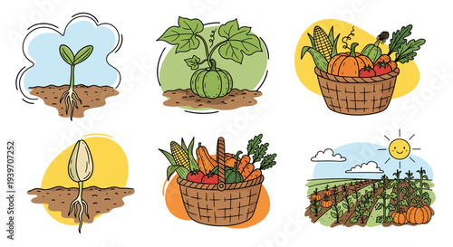 Farm harvest and growth cycle illustrations with vegetables and sunshine