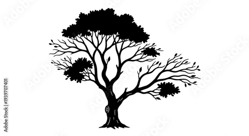 Silhouette of a majestic, sprawling tree with intricate branches and lush foliage