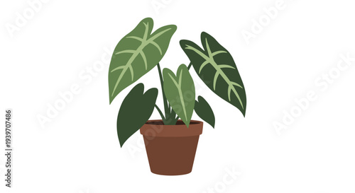 Stylized illustration of a potted Alocasia plant with large, textured green leaves