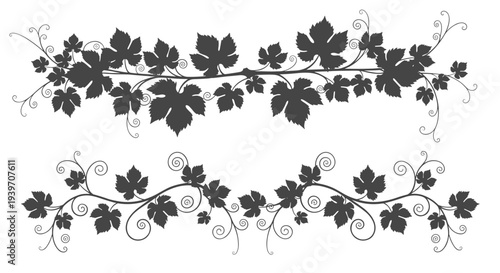 Elegant dark grey grapevine ornamental borders with swirling tendrils and detailed leaves creating a sophisticated