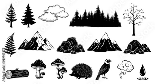 Hand drawn forest elements collection with trees mountains clouds fern mushrooms hedgehog bird log and rain symbols