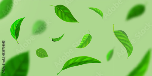 Fresh Green Leaves Floating on Soft Mint Background Organic Spring Foliage Vector Illustration for Wellness, Tea and Natural Beauty Branding