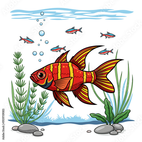 Red cardinalfish swimming in aquarium with aquatic plants for tropical fish tank illustration