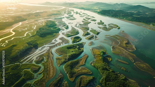 Aerial View of Winding River Delta and Lush Green Landscape at Sunset.