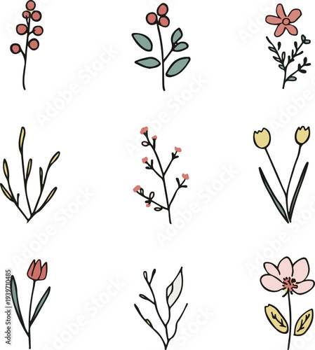 Hello Spring big collection with a variety of plants, flowers 