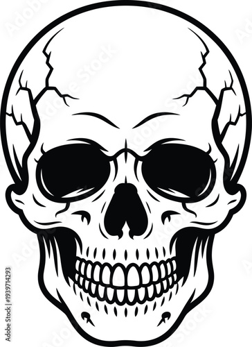 Human skull vector illustration, black and white line art design