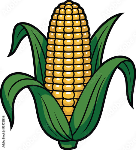 A colorful illustration of an ear of corn with green leaves
