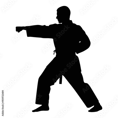 Vector illustration of a martial arts punch in an athletic silhouette design