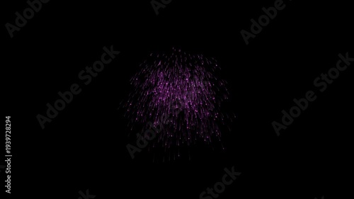 Firework animation backgrounds, Amazing real beautiful colorful fireworks, Silhouette stand firework, Colorful firework festival, Multicolor Isolated Fireworks Grand Finale, 4k Dark Screen