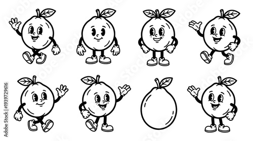 guava, cute retro cartoon style vector set , white background , PNG and SVG isolate