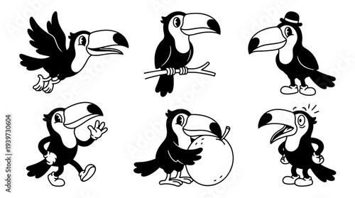 toucan, cute retro cartoon style vector set , white background , PNG and SVG isolate