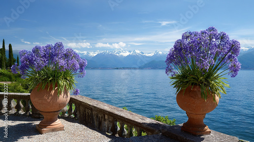 Two Large Terracotta Pots with Purple Flowers on a Balcony Overlooking a Lake
