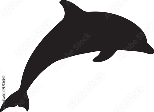 Jumping Sea Dolphin Vector Silhouettes