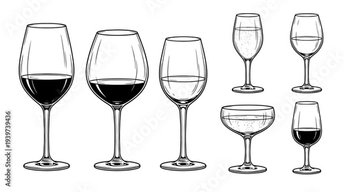 wine glass , realistic line art vector set , white background , PNG and SVG isolate