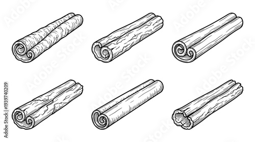 cinnamon stick , realistic line art vector set , white background , PNG and SVG isolate