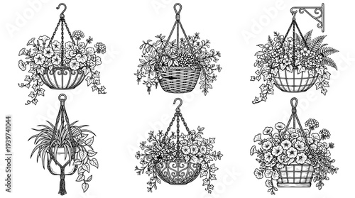 hanging basket , realistic line art vector set , white background , PNG and SVG isolate