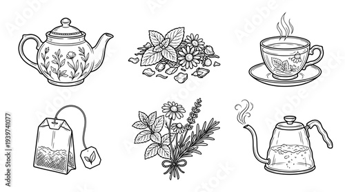 herbal tea , realistic line art vector set , white background , PNG and SVG isolate