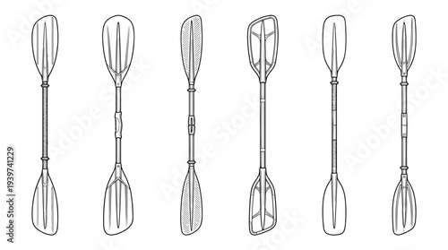 kayak paddle , realistic line art vector set , white background , PNG and SVG isolate