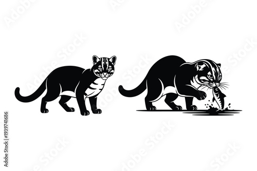 Fishing Cat Illustration: Resting and Eating