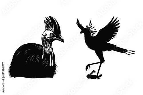 Cassowary Bird and Secretarybird Silhouette Vector
