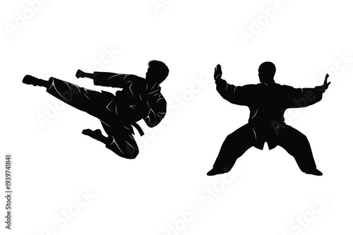 Karate Fighter Kick and Martial Arts Stance