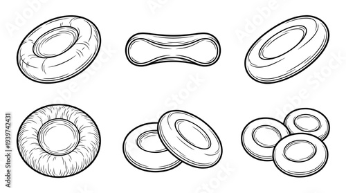 red blood cell , realistic line art vector set , white background , PNG and SVG isolate