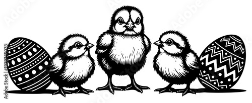 Vintage black and white engraving illustration of three cute chicks and decorated Easter eggs