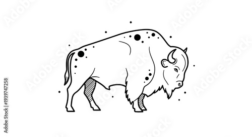 Large American Bison Side Profile View.