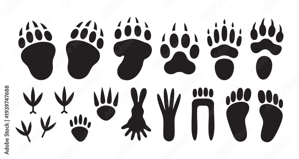 Fototapeta premium Animal paw prints and footprints collection of various wildlife tracks including bears birds and rabbits