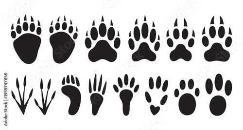 Set of wild animals paw prints. collection of various animal and bird footprints. traces of predators