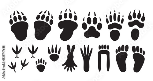Animal paw prints and footprints collection of various wildlife tracks including bears birds and rabbits