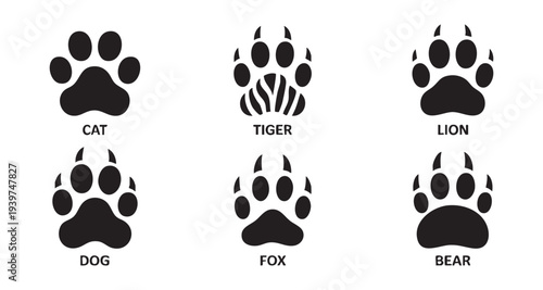 Set of six wild and domestic animal paw prints on white background including cat dog tiger lion
