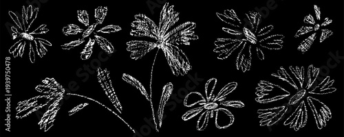 Hand drawn crayon flower on black