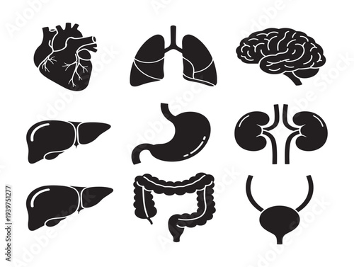 Minimalist black and white human organ silhouettes